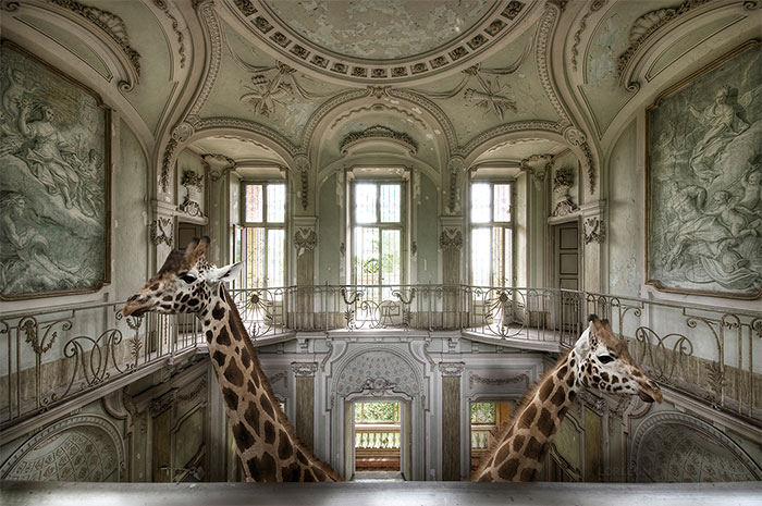 Our Surreal Images Won The Fine Art Award In The International Photography Contest 2019 (10 Pics)