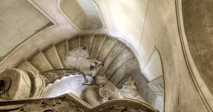 Our Surreal Images Won The Fine Art Award In The International Photography Contest 2019 (10 Pics)