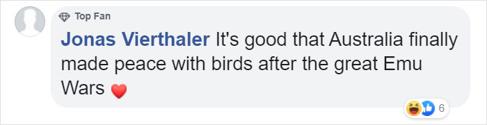 Pigeon Builds A Nest After Stealing Poppies From An Unknown Soldier's Grave
