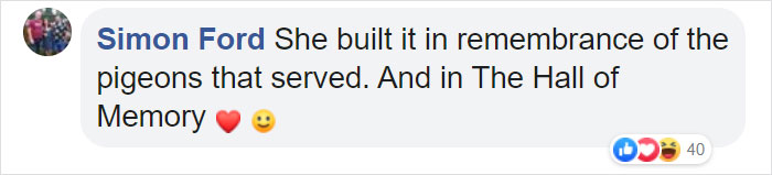 Pigeon Builds A Nest After Stealing Poppies From An Unknown Soldier's Grave
