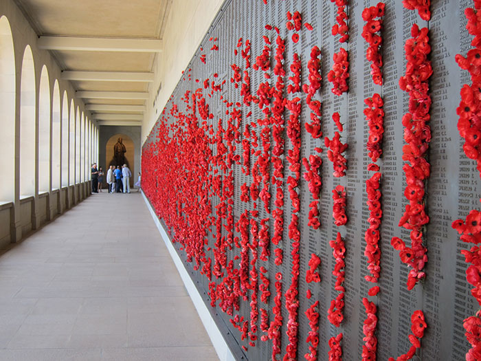Pigeon Builds A Nest After Stealing Poppies From An Unknown Soldier's Grave
Pigeon Builds A Nest After Stealing Poppies From An Unknown Soldier's Grave