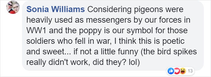 Pigeon Builds A Nest After Stealing Poppies From An Unknown Soldier's Grave
