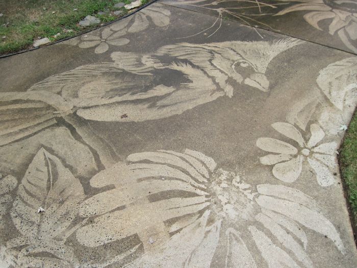 Woman Uses The Power Washer She Got As A Birthday Gift To Unleash Her Creative Potential