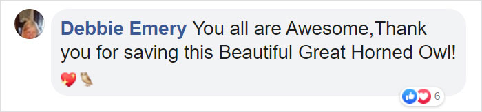 Owl Gets Rescued From Fire, Looks Angry As Hell And People Say It's Funny