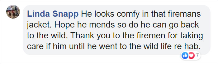 Owl Gets Rescued From Fire, Looks Angry As Hell And People Say It's Funny