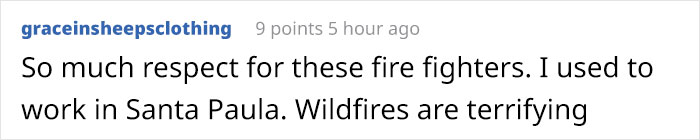 Owl Gets Rescued From Fire, Looks Angry As Hell And People Say It's Funny Owl Gets Rescued From Fire, Looks Angry As Hell And People Say It's Funny