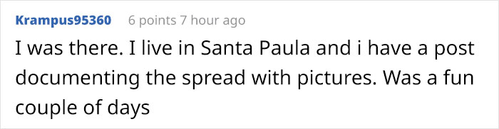 Owl Gets Rescued From Fire, Looks Angry As Hell And People Say It's Funny Owl Gets Rescued From Fire, Looks Angry As Hell And People Say It's Funny