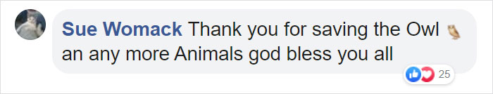 Owl Gets Rescued From Fire, Looks Angry As Hell And People Say It's Funny Owl Gets Rescued From Fire, Looks Angry As Hell And People Say It's Funny