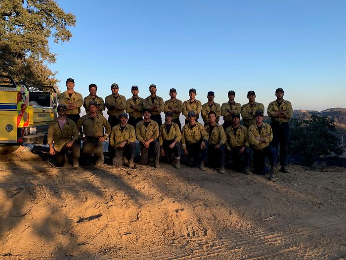 Owl Gets Rescued From Fire, Looks Angry As Hell And People Say It's Funny
