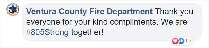 Owl Gets Rescued From Fire, Looks Angry As Hell And People Say It's Funny Owl Gets Rescued From Fire, Looks Angry As Hell And People Say It's Funny