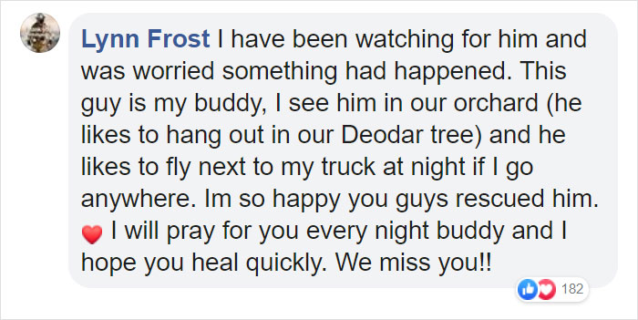 Owl Gets Rescued From Fire, Looks Angry As Hell And People Say It's Funny Owl Gets Rescued From Fire, Looks Angry As Hell And People Say It's Funny