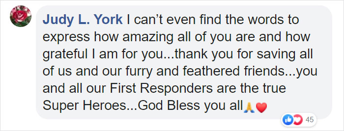 Owl Gets Rescued From Fire, Looks Angry As Hell And People Say It's Funny