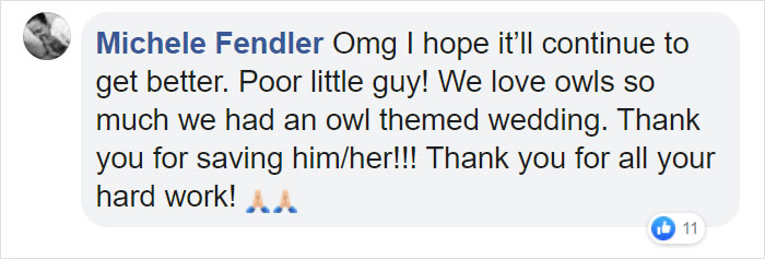 Owl Gets Rescued From Fire, Looks Angry As Hell And People Say It's Funny