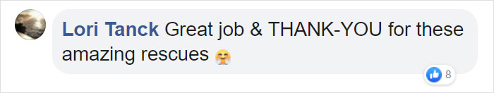 Owl Gets Rescued From Fire, Looks Angry As Hell And People Say It's Funny