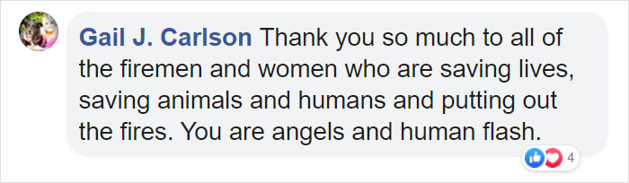 Owl Gets Rescued From Fire, Looks Angry As Hell And People Say It's Funny Owl Gets Rescued From Fire, Looks Angry As Hell And People Say It's Funny