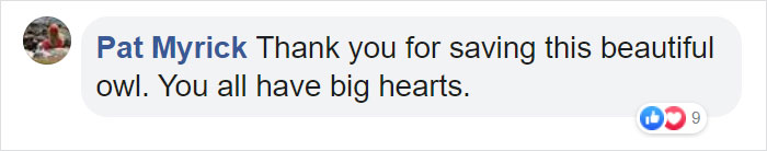 Owl Gets Rescued From Fire, Looks Angry As Hell And People Say It's Funny Owl Gets Rescued From Fire, Looks Angry As Hell And People Say It's Funny