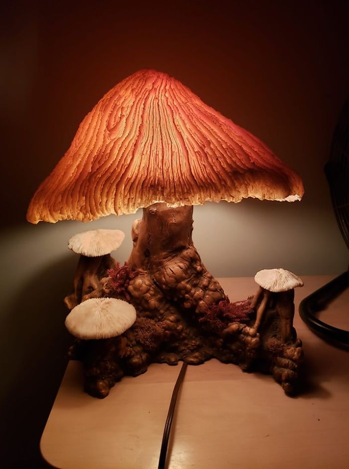 I'm So Happy! I've Wanted One Forever And Found This For $22