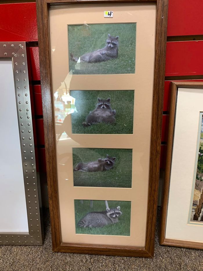 My First Ever Weird Find.. I Think Someone Actually Had This Hanging In Their Home At One Point