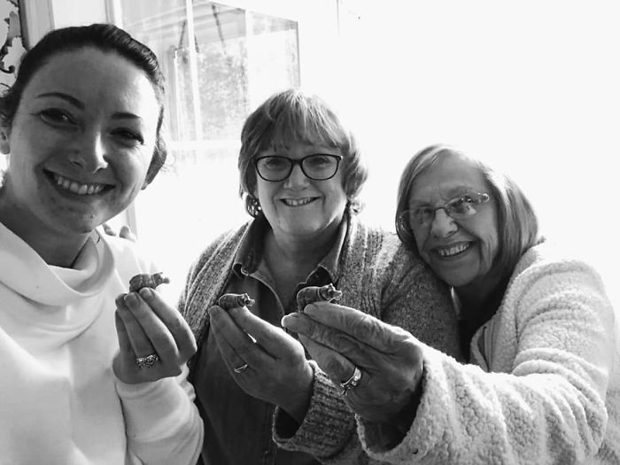 My Mom Found Three Hippos