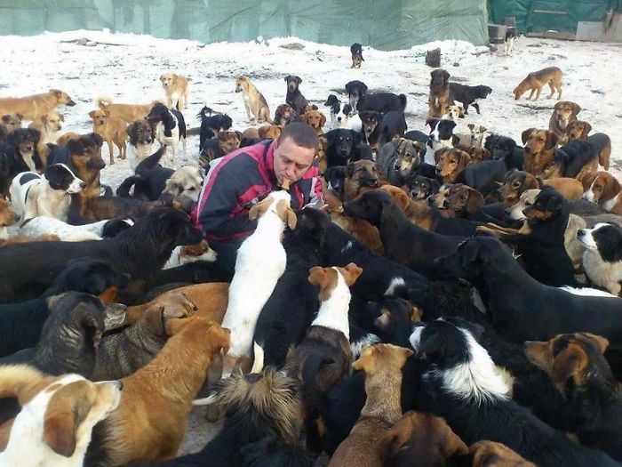 Guy Takes In Pups That No One Wants, Runs A Shelter With 750 Dogs Guy Takes In Pups That No One Wants, Runs A Shelter With 750 Dogs