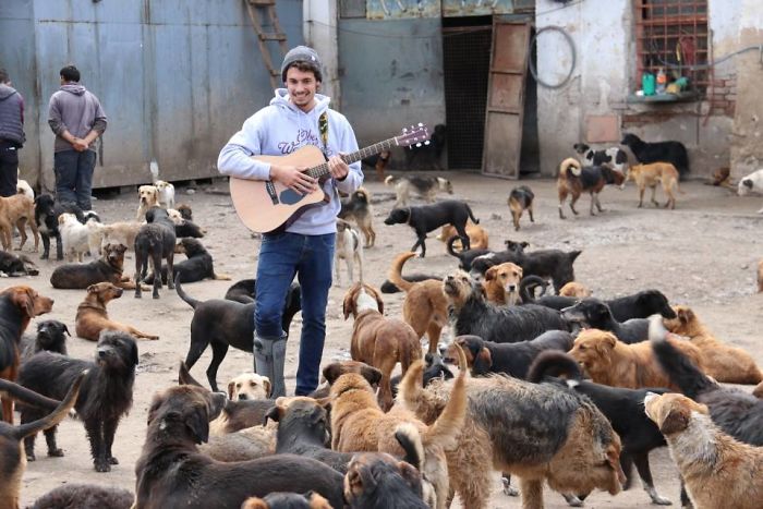 Guy Takes In Pups That No One Wants, Runs A Shelter With 750 Dogs Guy Takes In Pups That No One Wants, Runs A Shelter With 750 Dogs