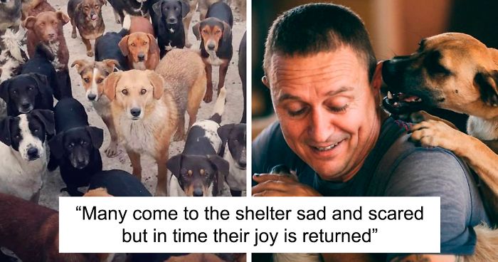 Guy Takes In Pups That No One Wants, Runs A Shelter With 750 Dogs