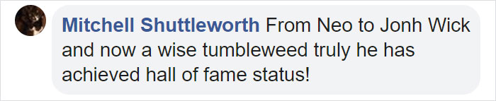 Keanu Reeves Will Play A Wise Tumbleweed In The New Spongebob Squarepants Movie Keanu Reeves Will Play A Wise Tumbleweed In The New Spongebob Squarepants Movie