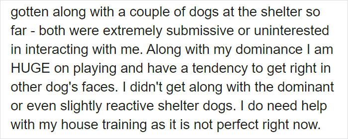 This Stray Dog Was Found Carrying Abandoned Kittens Off The Side Of The Road This Stray Dog Was Found Carrying Abandoned Kittens Off The Side Of The Road