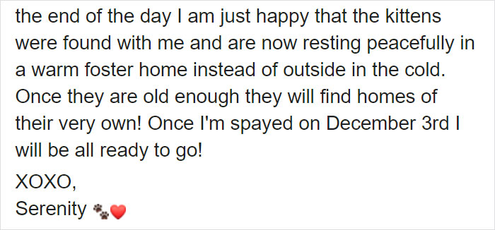 This Stray Dog Was Found Carrying Abandoned Kittens Off The Side Of The Road