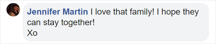 This Stray Dog Was Found Carrying Abandoned Kittens Off The Side Of The Road This Stray Dog Was Found Carrying Abandoned Kittens Off The Side Of The Road