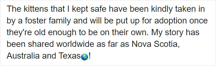 This Stray Dog Was Found Carrying Abandoned Kittens Off The Side Of The Road This Stray Dog Was Found Carrying Abandoned Kittens Off The Side Of The Road