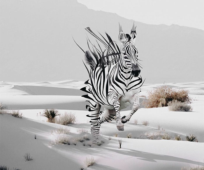 Indonesian Digital Artist Aditya Aryanto Photoshops Animals Into Surreal, Silly, And Unexpected Situations (50 Pics)