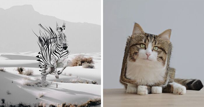 Indonesian Digital Artist Aditya Aryanto Photoshops Animals Into Surreal, Silly, And Unexpected Situations (50 Pics)