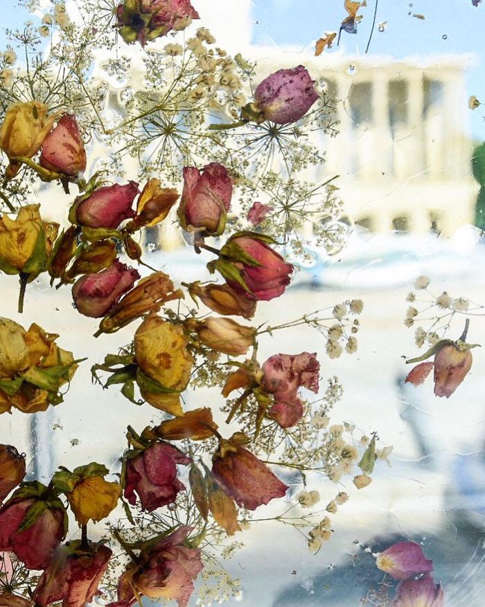 Polish Artist Turns An Ordinary Tram Stop Into A Beautiful Flower Museum