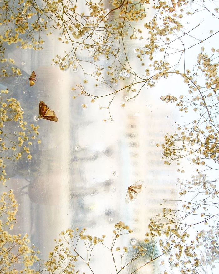 Polish Artist Turns An Ordinary Tram Stop Into A Beautiful Flower Museum Polish Artist Turns An Ordinary Tram Stop Into A Beautiful Flower Museum
