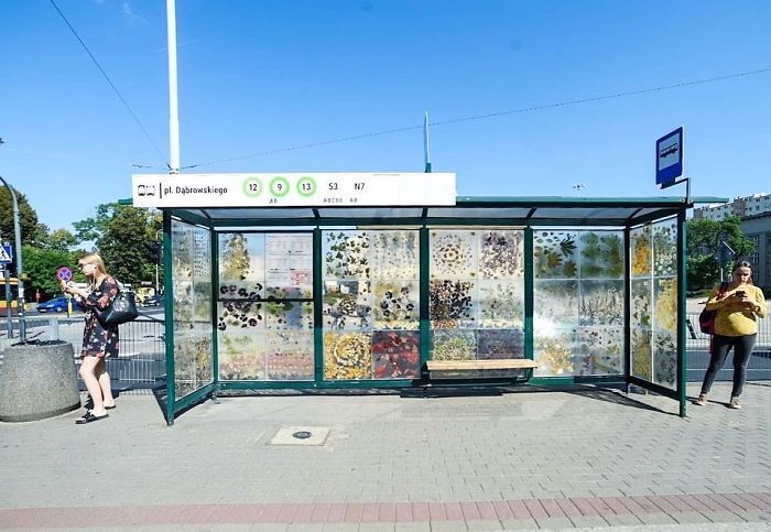 Polish Artist Turns An Ordinary Tram Stop Into A Beautiful Flower Museum Polish Artist Turns An Ordinary Tram Stop Into A Beautiful Flower Museum