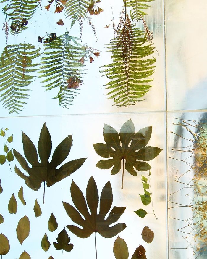 Polish Artist Turns An Ordinary Tram Stop Into A Beautiful Flower Museum Polish Artist Turns An Ordinary Tram Stop Into A Beautiful Flower Museum