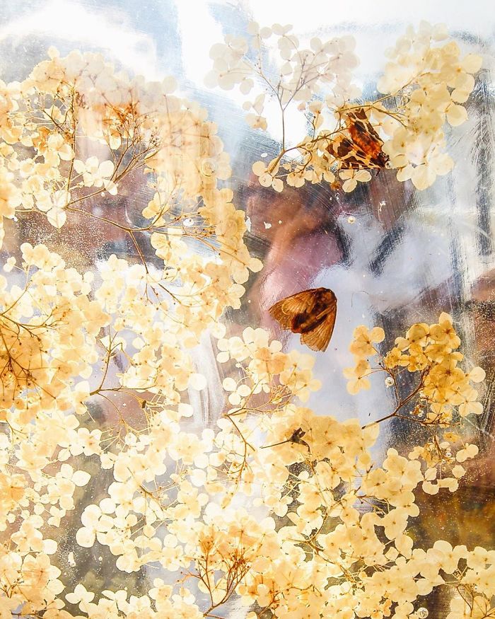 Polish Artist Turns An Ordinary Tram Stop Into A Beautiful Flower Museum Polish Artist Turns An Ordinary Tram Stop Into A Beautiful Flower Museum