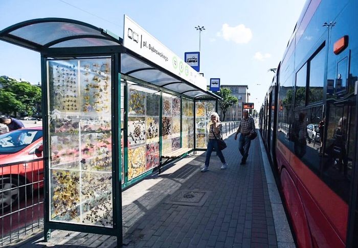 Polish Artist Turns An Ordinary Tram Stop Into A Beautiful Flower Museum Polish Artist Turns An Ordinary Tram Stop Into A Beautiful Flower Museum
