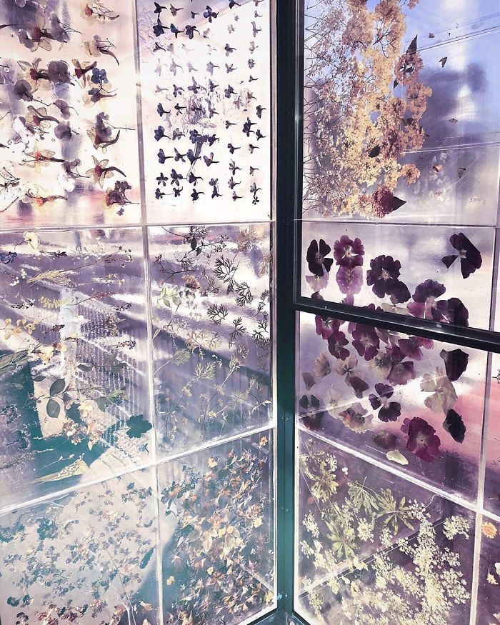 Polish Artist Turns An Ordinary Tram Stop Into A Beautiful Flower Museum Polish Artist Turns An Ordinary Tram Stop Into A Beautiful Flower Museum
