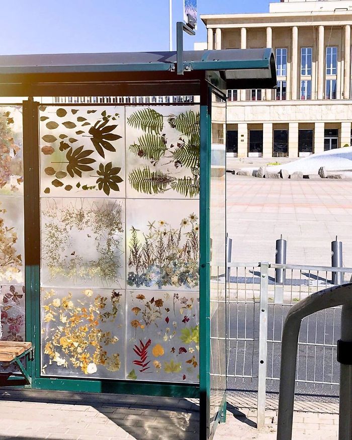 Polish Artist Turns An Ordinary Tram Stop Into A Beautiful Flower Museum