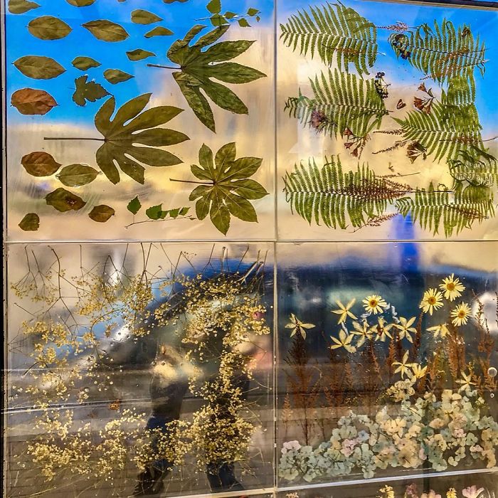 Polish Artist Turns An Ordinary Tram Stop Into A Beautiful Flower Museum Polish Artist Turns An Ordinary Tram Stop Into A Beautiful Flower Museum