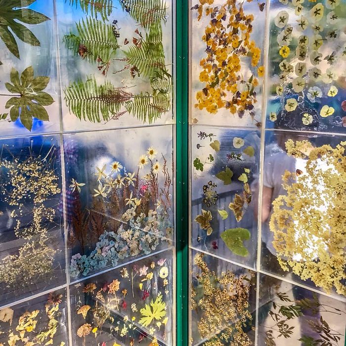 Polish Artist Turns An Ordinary Tram Stop Into A Beautiful Flower Museum