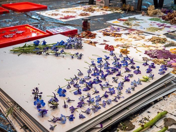 Polish Artist Turns An Ordinary Tram Stop Into A Beautiful Flower Museum Polish Artist Turns An Ordinary Tram Stop Into A Beautiful Flower Museum