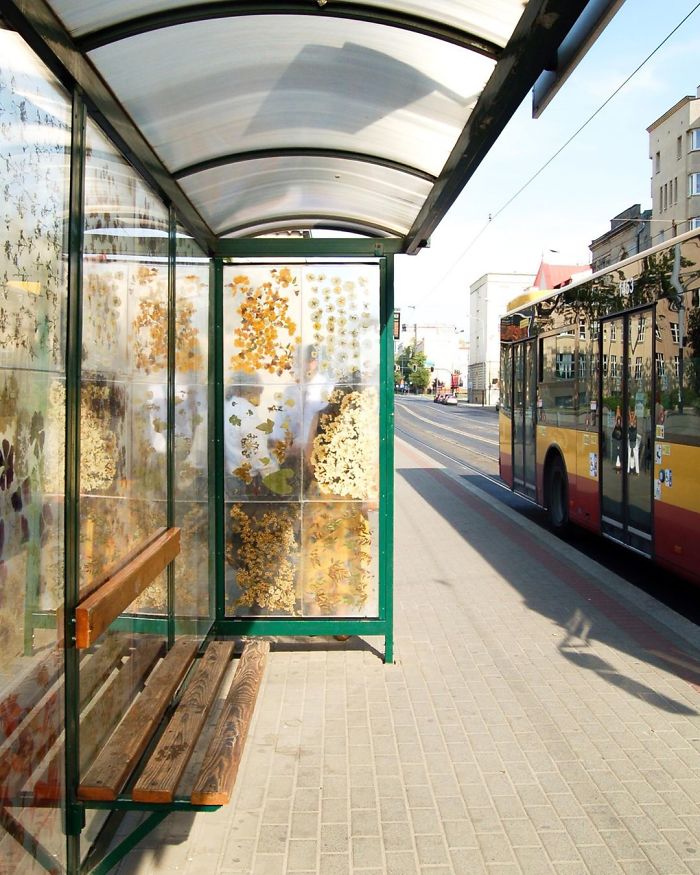 Polish Artist Turns An Ordinary Tram Stop Into A Beautiful Flower Museum Polish Artist Turns An Ordinary Tram Stop Into A Beautiful Flower Museum
