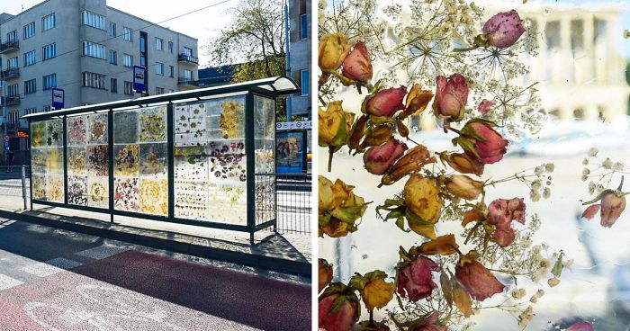 Polish Artist Turns An Ordinary Tram Stop Into A Beautiful Flower Museum