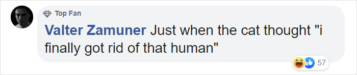 Trucker Bursts Into Tears After Reuniting With His Lost Travel Buddy-Cat After Months Of Searching