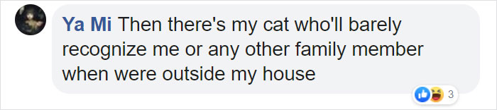 Trucker Bursts Into Tears After Reuniting With His Lost Travel Buddy-Cat After Months Of Searching