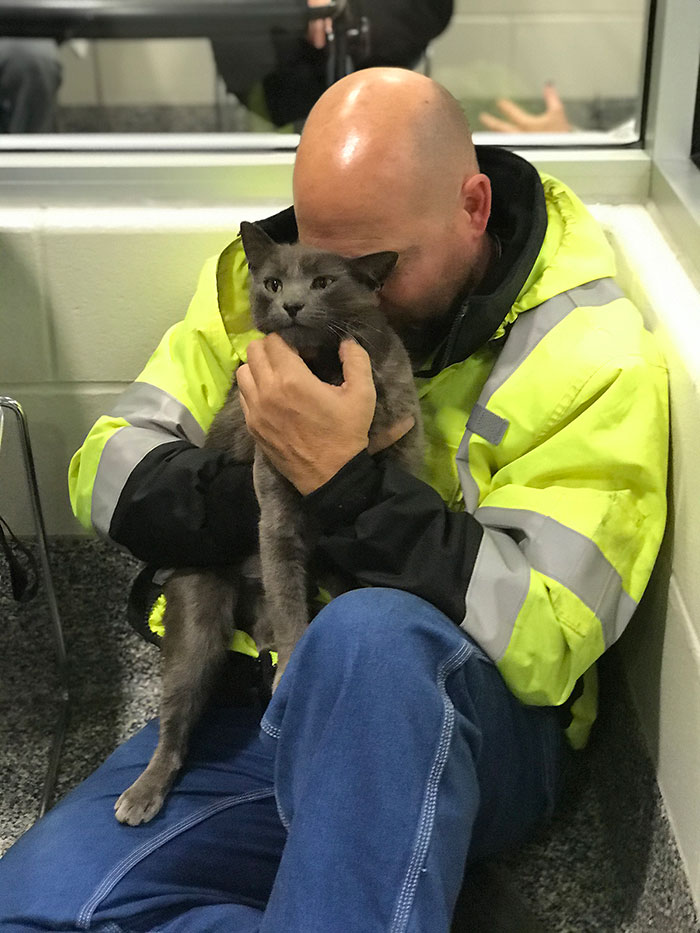 Trucker Bursts Into Tears After Reuniting With His Lost Travel Buddy-Cat After Months Of Searching