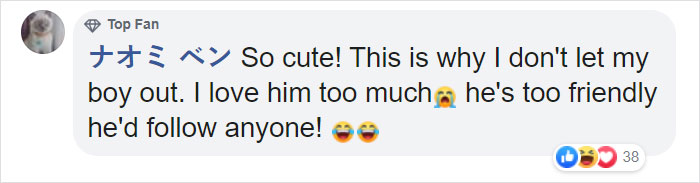 Trucker Bursts Into Tears After Reuniting With His Lost Travel Buddy-Cat After Months Of Searching